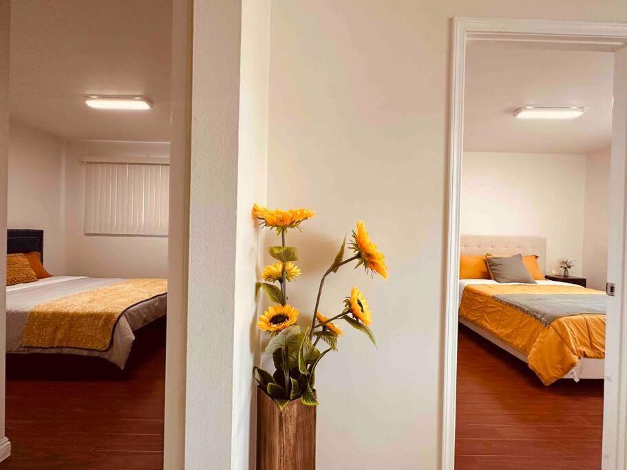 Charming 3br Retreat Near Disneyland Downtown La! Apartment